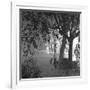 Nightshoot of Park with Trees, London, c.1940-John Gay-Framed Giclee Print