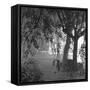 Nightshoot of Park with Trees, London, c.1940-John Gay-Framed Stretched Canvas