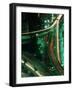 Nighttime Aerial View of Freeways and Traffic Motion, Tokyo, Japan-Nancy & Steve Ross-Framed Photographic Print