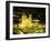 Nighttime Aerial View of the Main Square Featuring the Cathedral of Cusco, Cusco, Peru-Jim Zuckerman-Framed Photographic Print