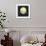 Nighttime Frolic-Tammy Kushnir-Framed Giclee Print displayed on a wall