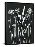 Nighttime Garden-Filippo Ioco-Framed Stretched Canvas