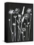 Nighttime Garden-Filippo Ioco-Framed Stretched Canvas