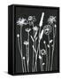 Nighttime Garden-Filippo Ioco-Framed Stretched Canvas