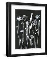 Nighttime Garden-Filippo Ioco-Framed Art Print