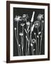 Nighttime Garden-Filippo Ioco-Framed Art Print