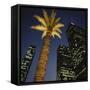 Nighttime in Downtown Los Angeles, California, USA-Walter Bibikow-Framed Stretched Canvas