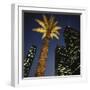 Nighttime in Downtown Los Angeles, California, USA-Walter Bibikow-Framed Photographic Print