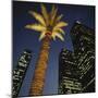 Nighttime in Downtown Los Angeles, California, USA-Walter Bibikow-Mounted Photographic Print