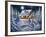 Nighttime Prowl-Chuck Black-Framed Giclee Print