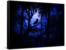 Nightwatch-Julie Fain-Framed Stretched Canvas