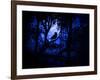 Nightwatch-Julie Fain-Framed Art Print