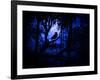 Nightwatch-Julie Fain-Framed Art Print