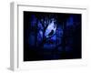 Nightwatch-Julie Fain-Framed Art Print