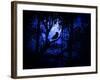 Nightwatch-Julie Fain-Framed Art Print