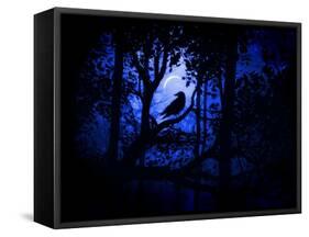 Nightwatch-Julie Fain-Framed Stretched Canvas