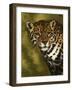 Nightwatch-Barbara Keith-Framed Giclee Print