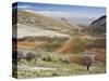 Niha, Bekaa Valley, Lebanon-Ivan Vdovin-Stretched Canvas