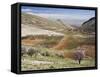 Niha, Bekaa Valley, Lebanon-Ivan Vdovin-Framed Stretched Canvas