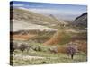 Niha, Bekaa Valley, Lebanon-Ivan Vdovin-Stretched Canvas