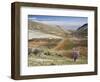 Niha, Bekaa Valley, Lebanon-Ivan Vdovin-Framed Photographic Print