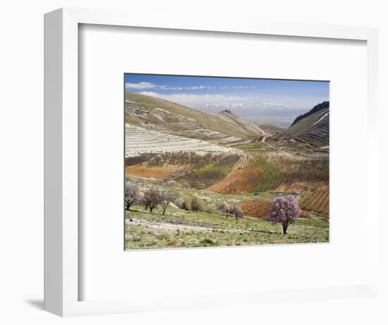 Niha, Bekaa Valley, Lebanon-Ivan Vdovin-Framed Photographic Print