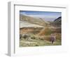 Niha, Bekaa Valley, Lebanon-Ivan Vdovin-Framed Photographic Print