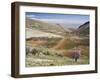 Niha, Bekaa Valley, Lebanon-Ivan Vdovin-Framed Photographic Print