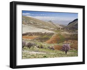 Niha, Bekaa Valley, Lebanon-Ivan Vdovin-Framed Photographic Print