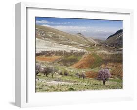 Niha, Bekaa Valley, Lebanon-Ivan Vdovin-Framed Photographic Print