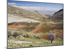 Niha, Bekaa Valley, Lebanon-Ivan Vdovin-Mounted Photographic Print