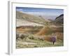 Niha, Bekaa Valley, Lebanon-Ivan Vdovin-Framed Photographic Print