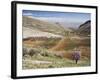 Niha, Bekaa Valley, Lebanon-Ivan Vdovin-Framed Photographic Print