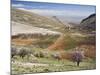 Niha, Bekaa Valley, Lebanon-Ivan Vdovin-Mounted Photographic Print