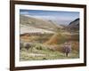 Niha, Bekaa Valley, Lebanon-Ivan Vdovin-Framed Photographic Print