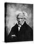 Nihilism: Arthur Schopenhauer, German Philosopher, 19th Century-null-Stretched Canvas