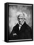 Nihilism: Arthur Schopenhauer, German Philosopher, 19th Century-null-Framed Stretched Canvas