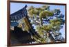 Nijo Castle, Kyoto, Japan-Keren Su-Framed Photographic Print