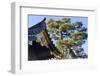 Nijo Castle, Kyoto, Japan-Keren Su-Framed Photographic Print