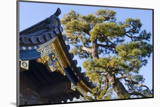 Nijo Castle, Kyoto, Japan-Keren Su-Mounted Photographic Print