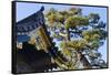 Nijo Castle, Kyoto, Japan-Keren Su-Framed Stretched Canvas