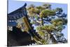 Nijo Castle, Kyoto, Japan-Keren Su-Stretched Canvas