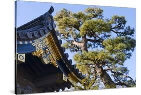 Nijo Castle, Kyoto, Japan-Keren Su-Stretched Canvas