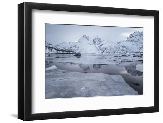 Photographic Print, , large