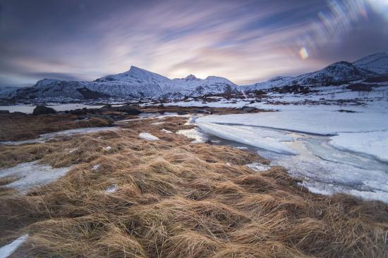 Premium Photographic Print, , large