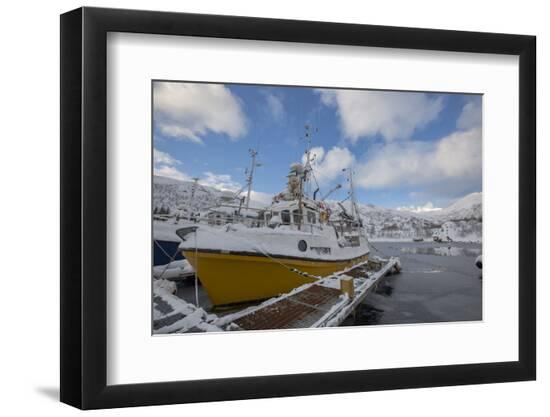Premium Photographic Print, , large