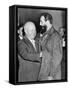 Nikita Khrushchev Greets Fidel Castro at the Russian Legation, NYC, Sept. 23, 1960-null-Framed Stretched Canvas