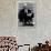 Nikita Khrushchev-null-Framed Photographic Print displayed on a wall