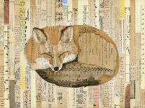 Red Fox Collage III-Nikki Galapon-Art Print