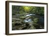 Nikko 1-Michael De Guzman-Framed Photographic Print